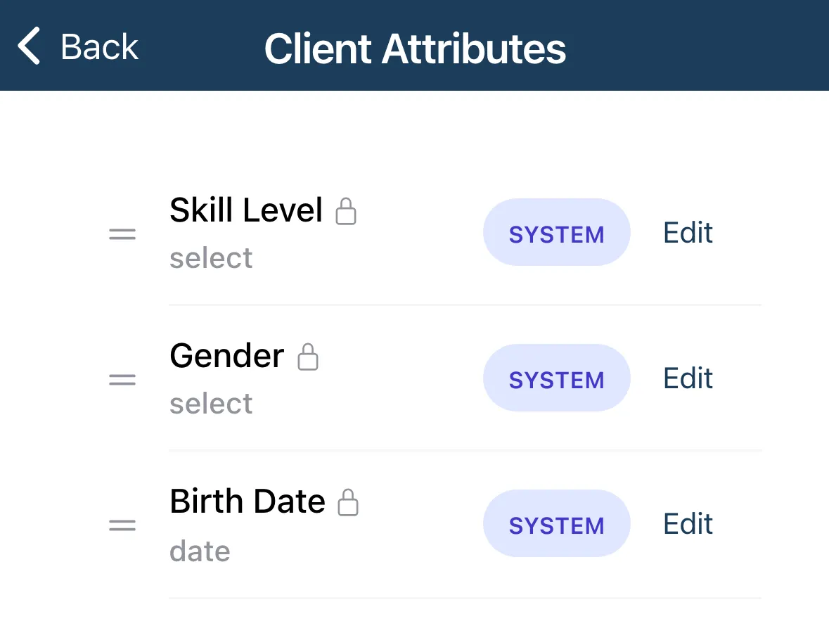 The top of the Client Attributes list, showing built-in SYSTEM attributes